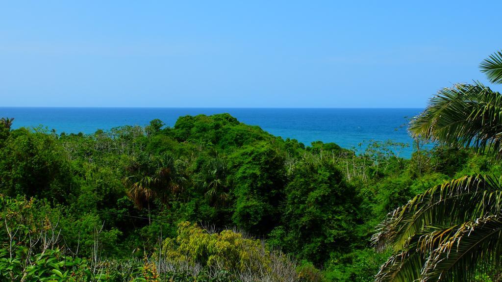 Posada Villa Margarita Los Naranjos Exteriér fotografie